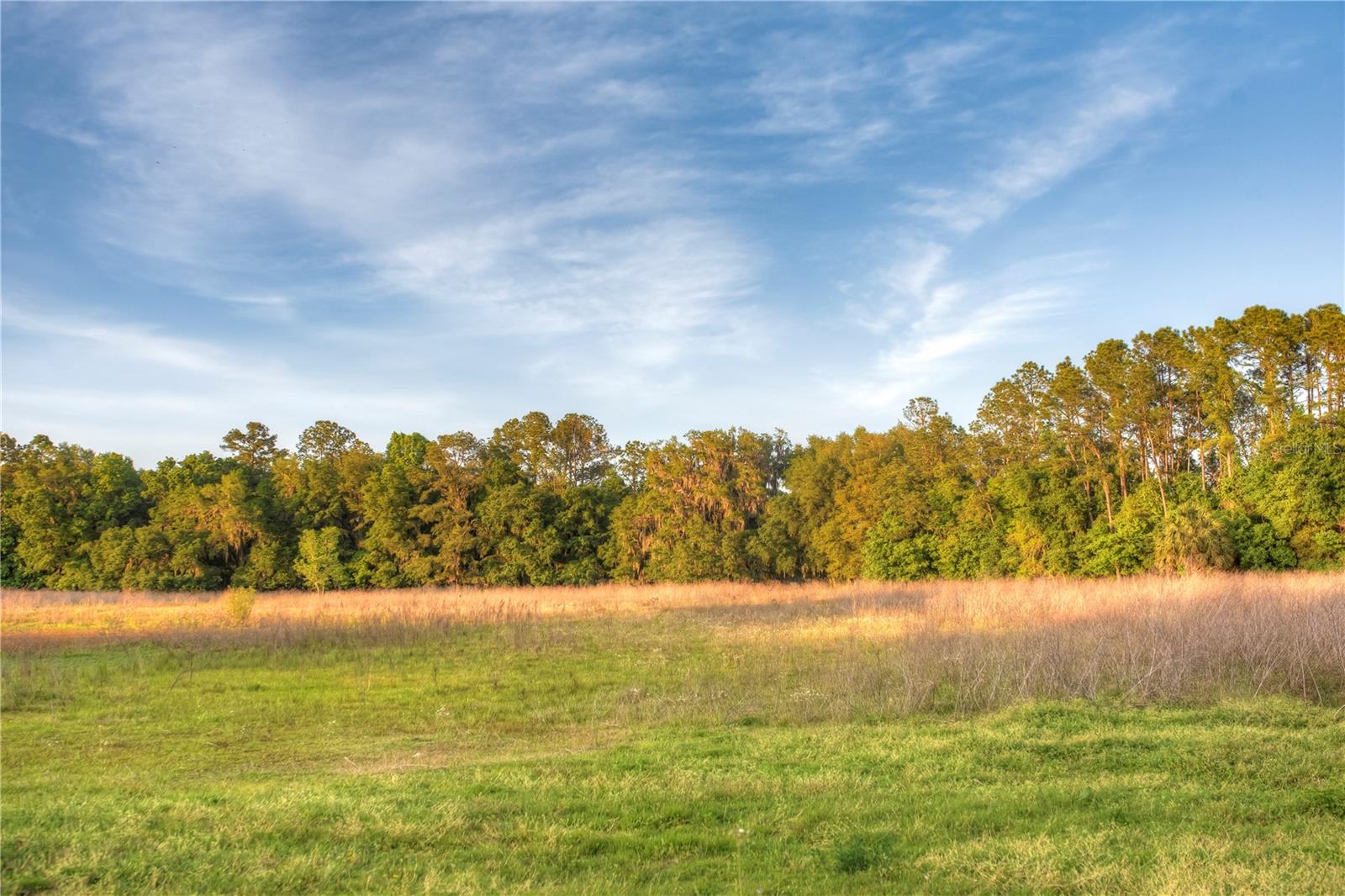 Gainesville, Florida, 32608, United States, 4 Bedrooms Bedrooms, ,3 BathroomsBathrooms,Residential,Active,1989761