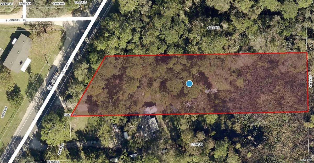 COUNTY ROAD 445A, ASTOR, FL 32102, photo 1