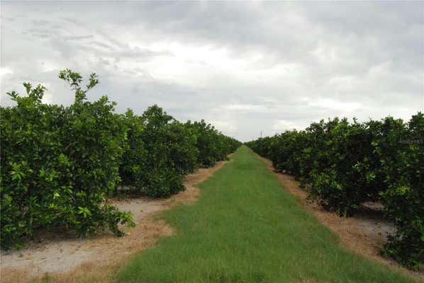 NE HIGHWAY 70 #3-21-50, ARCADIA, FL 34266 - Image 1