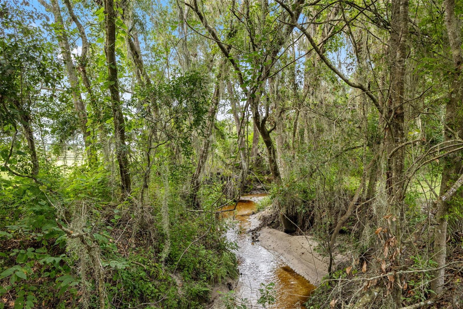 Brooksville, Florida, 34602, United States, 4 Bedrooms Bedrooms, ,6 BathroomsBathrooms,Residential,Active,1919396