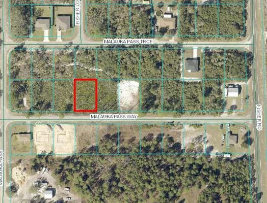 0 MALAUKA PASS WAY, OCKLAWAHA, FL 32179 - Image 1