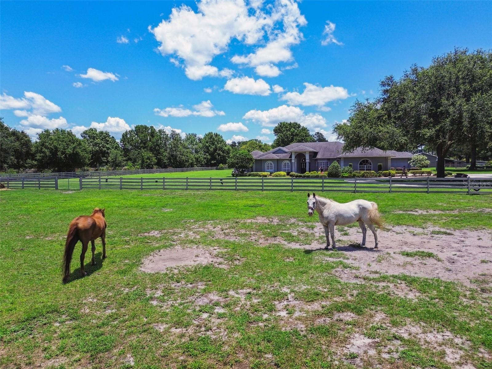 Odessa, Florida, 33556, United States, 5 Bedrooms Bedrooms, ,4 BathroomsBathrooms,Residential,Active,1884999