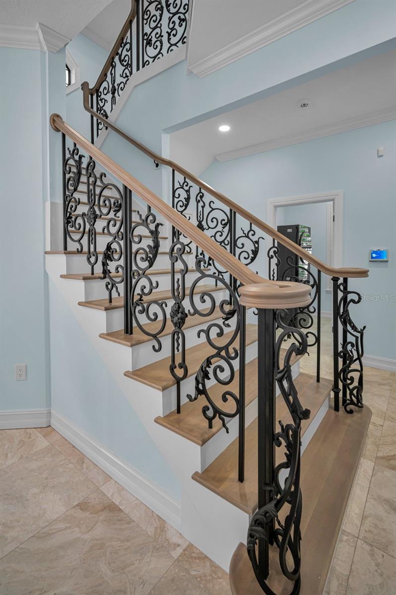 Trinity, Florida, 34655, United States, 4 Bedrooms Bedrooms, ,4 BathroomsBathrooms,Residential,Active,1900206