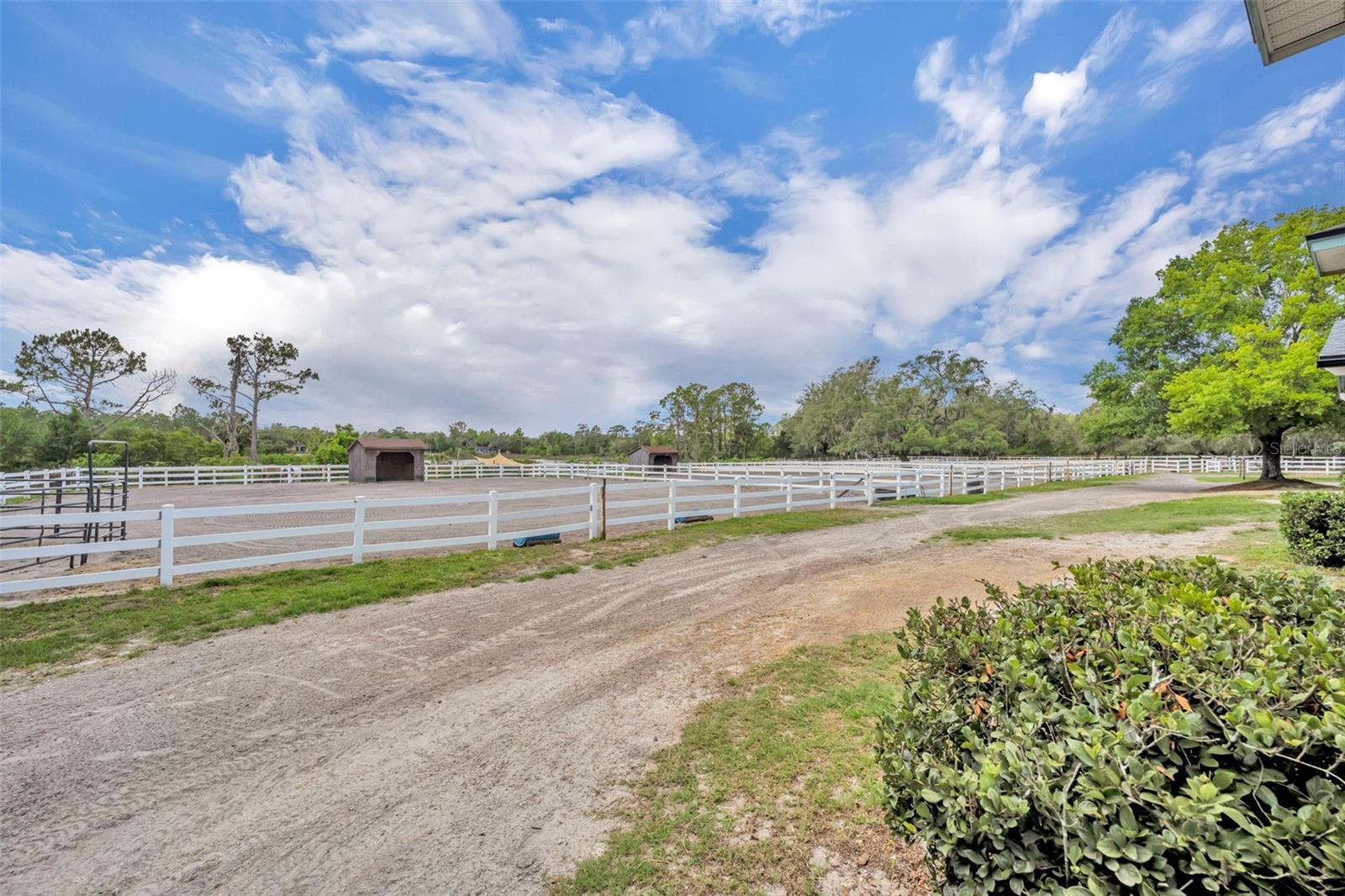 Geneva, Florida, 32732, United States, 5 Bedrooms Bedrooms, ,4 BathroomsBathrooms,Residential,Active,2044197