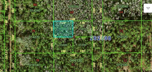 0 NO ADRESS, POLK CITY, FL 33868 - Image 1