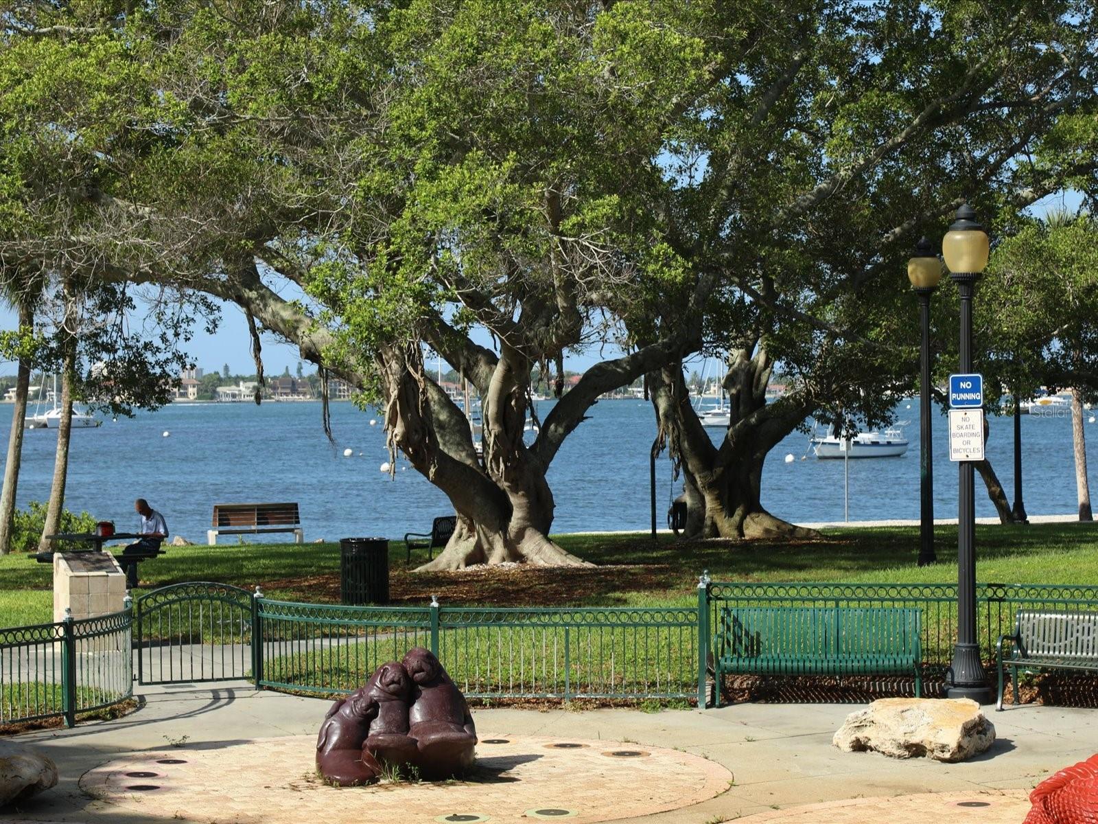 Sarasota, Florida, 34236, United States, 2 Bedrooms Bedrooms, ,2 BathroomsBathrooms,Residential,Active,1987245