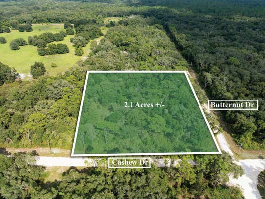 BUTTERNUT DR, WEBSTER, FL 33597 - Image 1