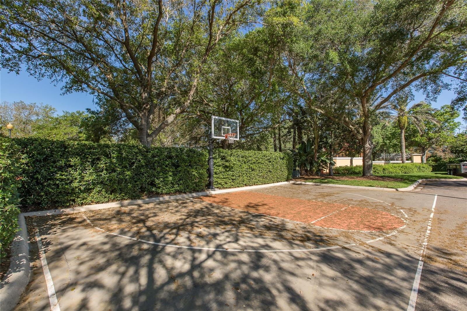 Trinity, Florida, 34655, United States, 5 Bedrooms Bedrooms, ,4 BathroomsBathrooms,Residential,Active,1922329