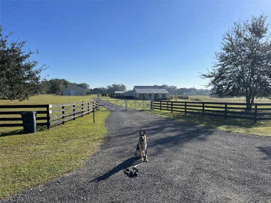 13729 COUNTY ROAD 103, OXFORD, FL 34484 - Image 1