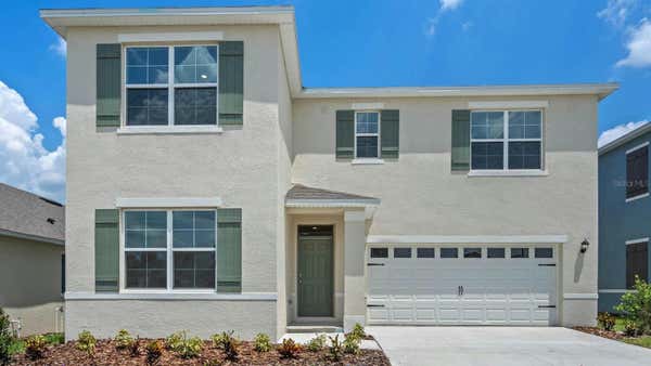 1165 ALSTONIA LN, MOUNT DORA, FL 32757 - Image 1