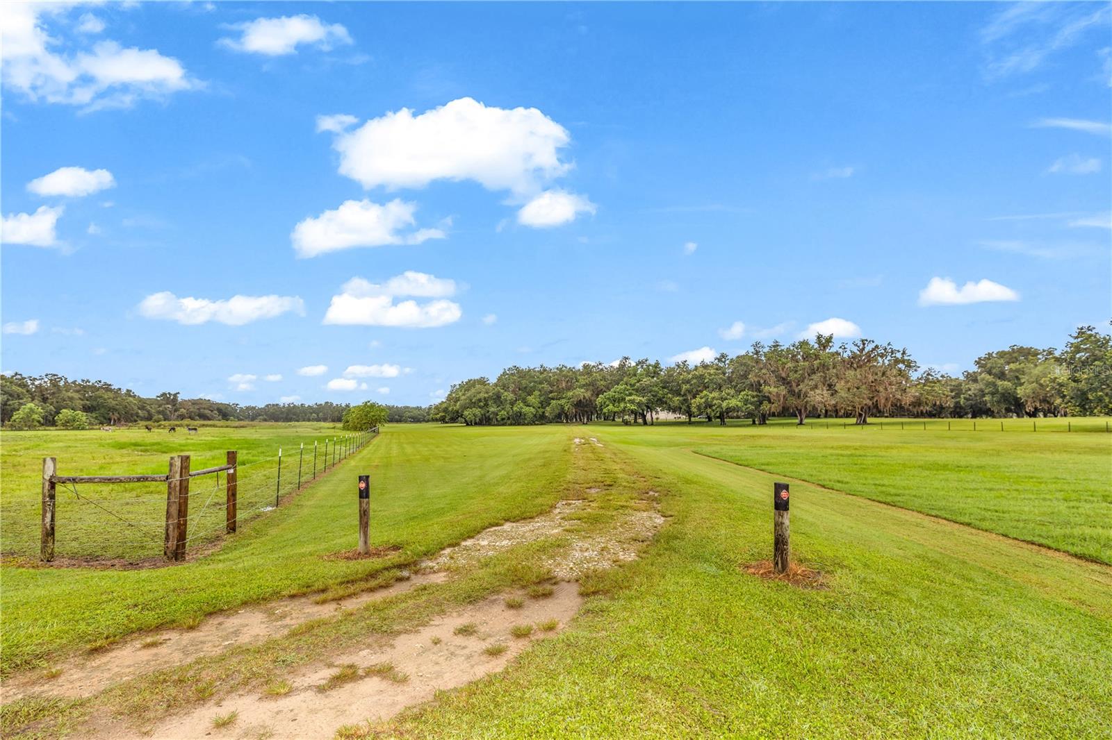 Crystal River, Florida, 34428, United States, 6 Bedrooms Bedrooms, ,5 BathroomsBathrooms,Residential,Active,1945058