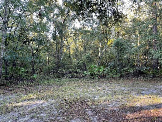 TBD SW 188TH PLACE, MC ALPIN, FL 32062 - Image 1