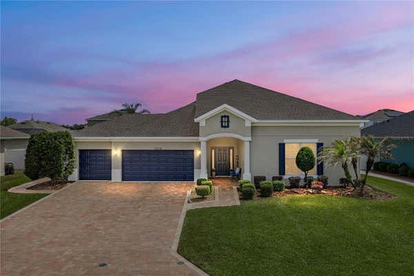 fiddle leaf fig leaf 7-10FT Fiddle Leaf Fig
