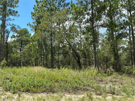 SW TIMBERLAKE RD, DUNNELLON, FL 34431 - Image 1