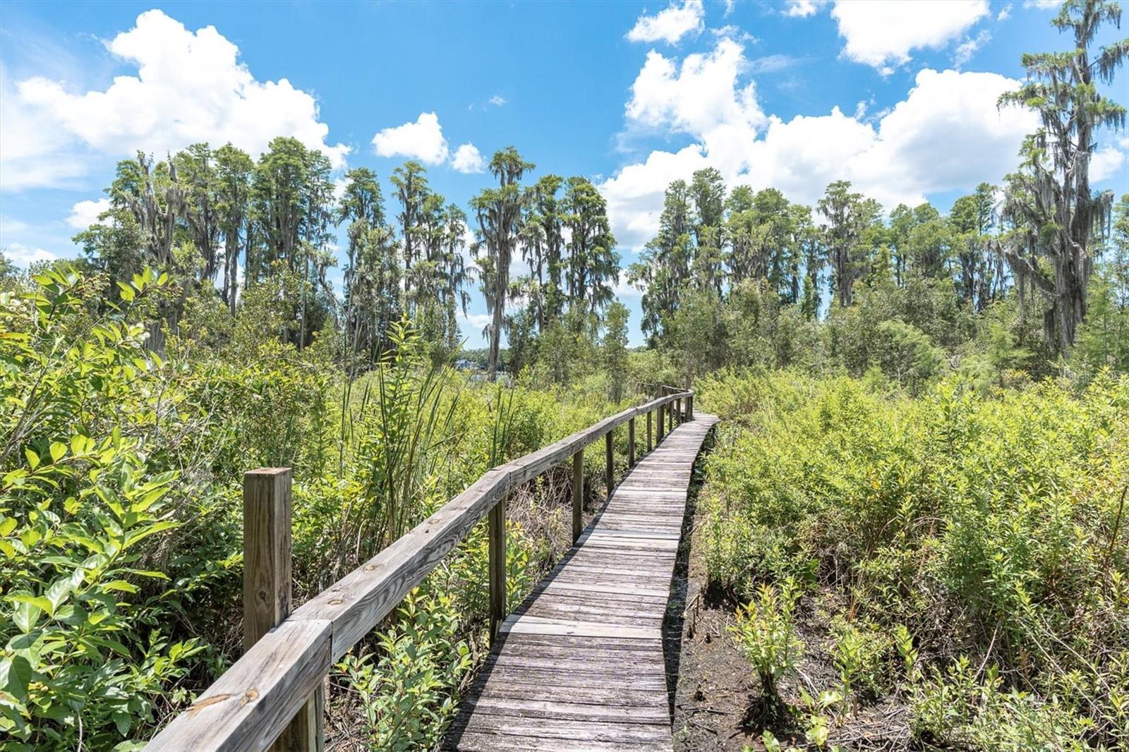 Odessa, Florida, 33556, United States, 4 Bedrooms Bedrooms, ,3 BathroomsBathrooms,Residential,Active,1871641