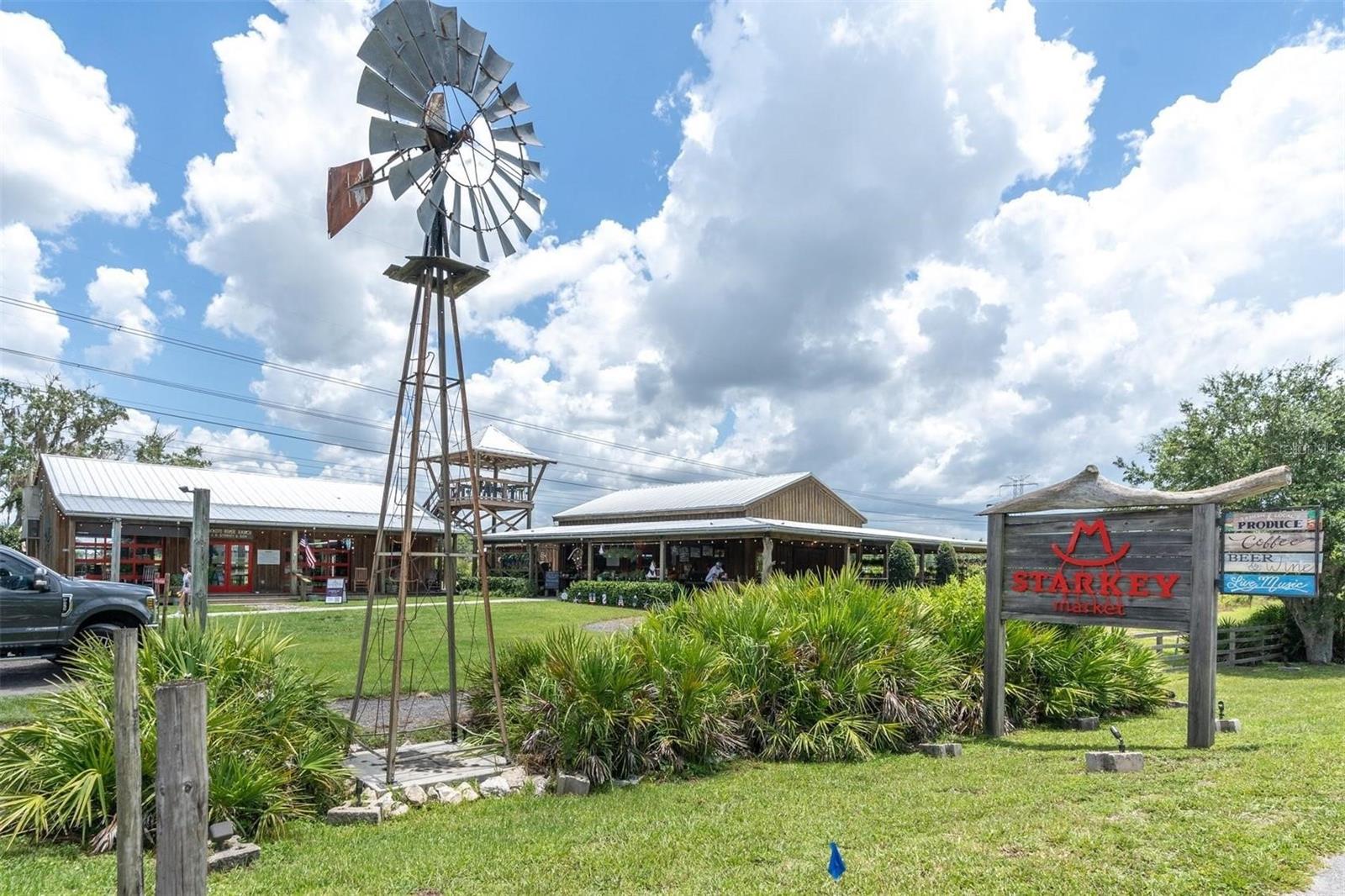 Odessa, Florida, 33556, United States, 5 Bedrooms Bedrooms, ,5 BathroomsBathrooms,Residential,Active,1927675
