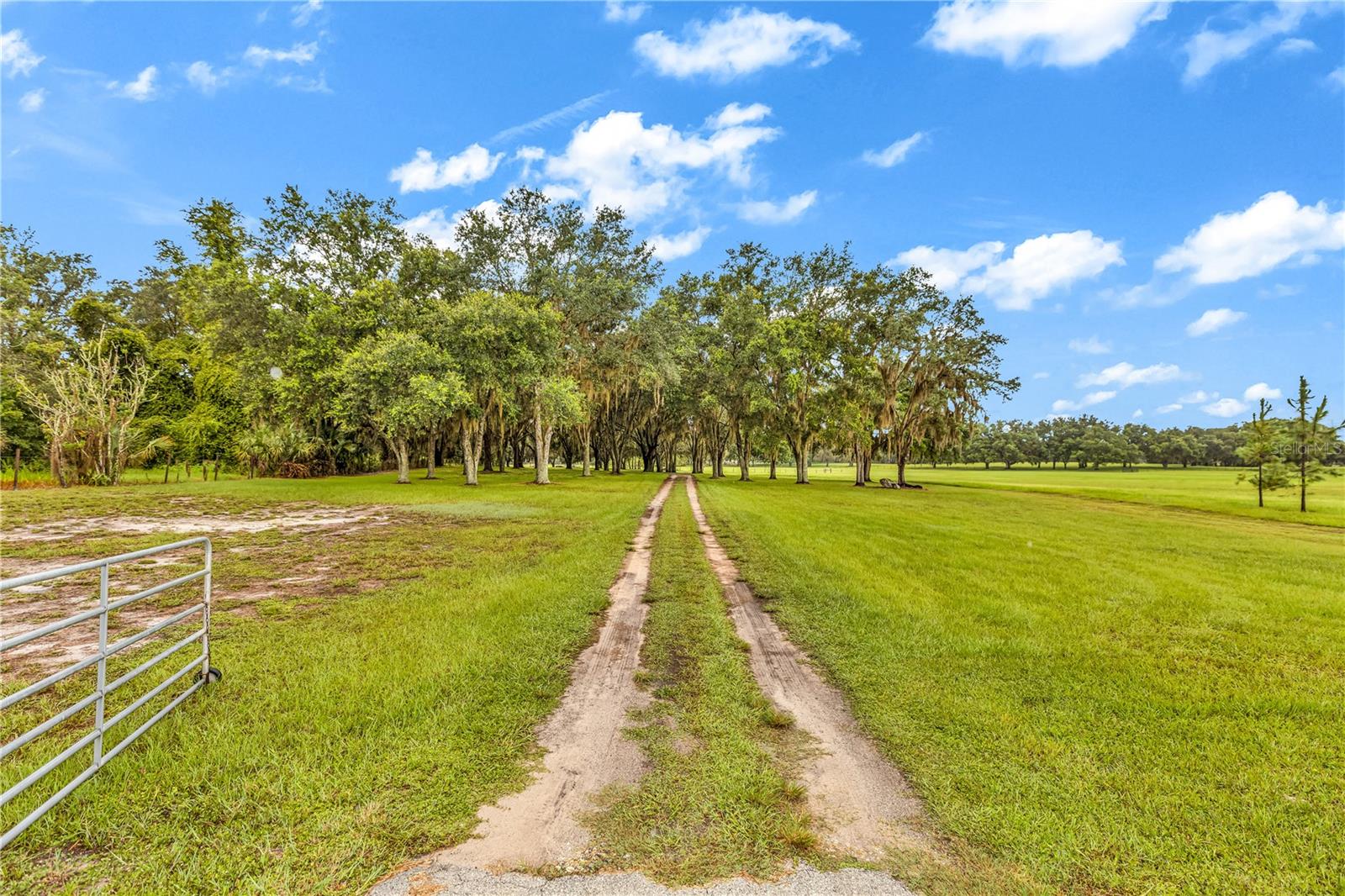 Crystal River, Florida, 34428, United States, 6 Bedrooms Bedrooms, ,5 BathroomsBathrooms,Residential,Active,1945058