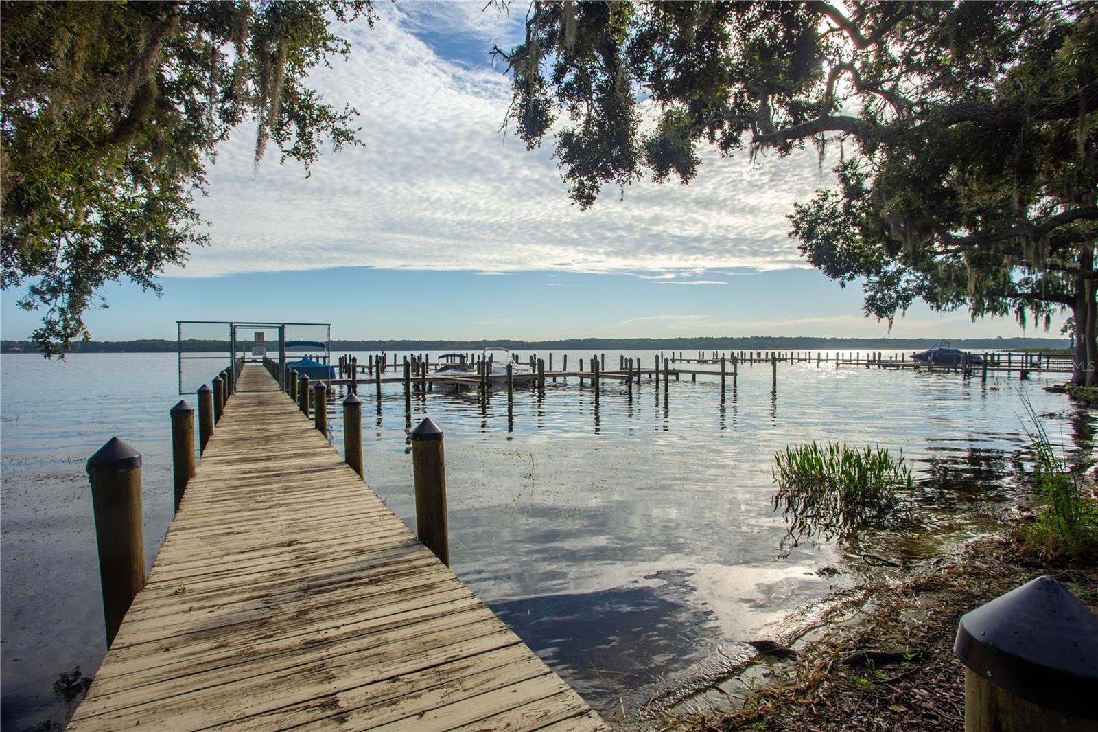 Palm Harbor, Florida, 34684, United States, 4 Bedrooms Bedrooms, ,4 BathroomsBathrooms,Residential,Active,1936412