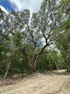 128AC NW 193RD ST, MICANOPY, FL 32667 - Image 1