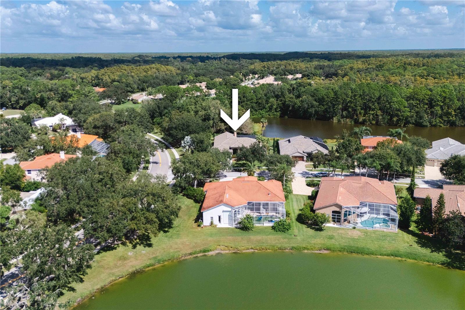 Oldsmar, Florida, 34677, United States, 4 Bedrooms Bedrooms, ,3 BathroomsBathrooms,Residential,Active,1970930