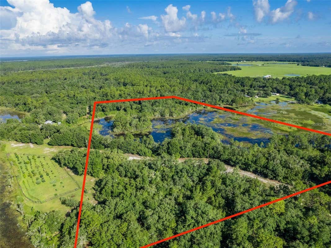 TBD 170TH SE AVENUE ROAD, OCKLAWAHA, FL 32179, photo 1 of 40