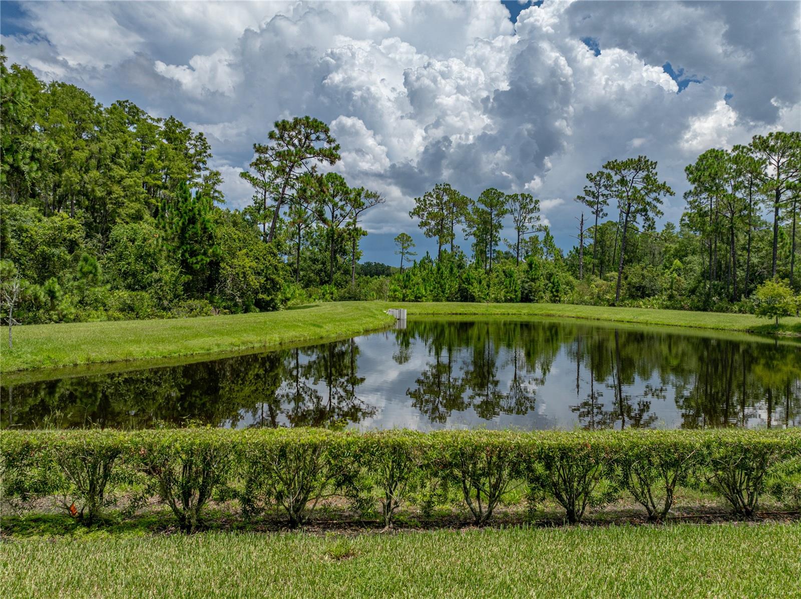 Odessa, Florida, 33556, United States, 5 Bedrooms Bedrooms, ,5 BathroomsBathrooms,Residential,Active,1909867