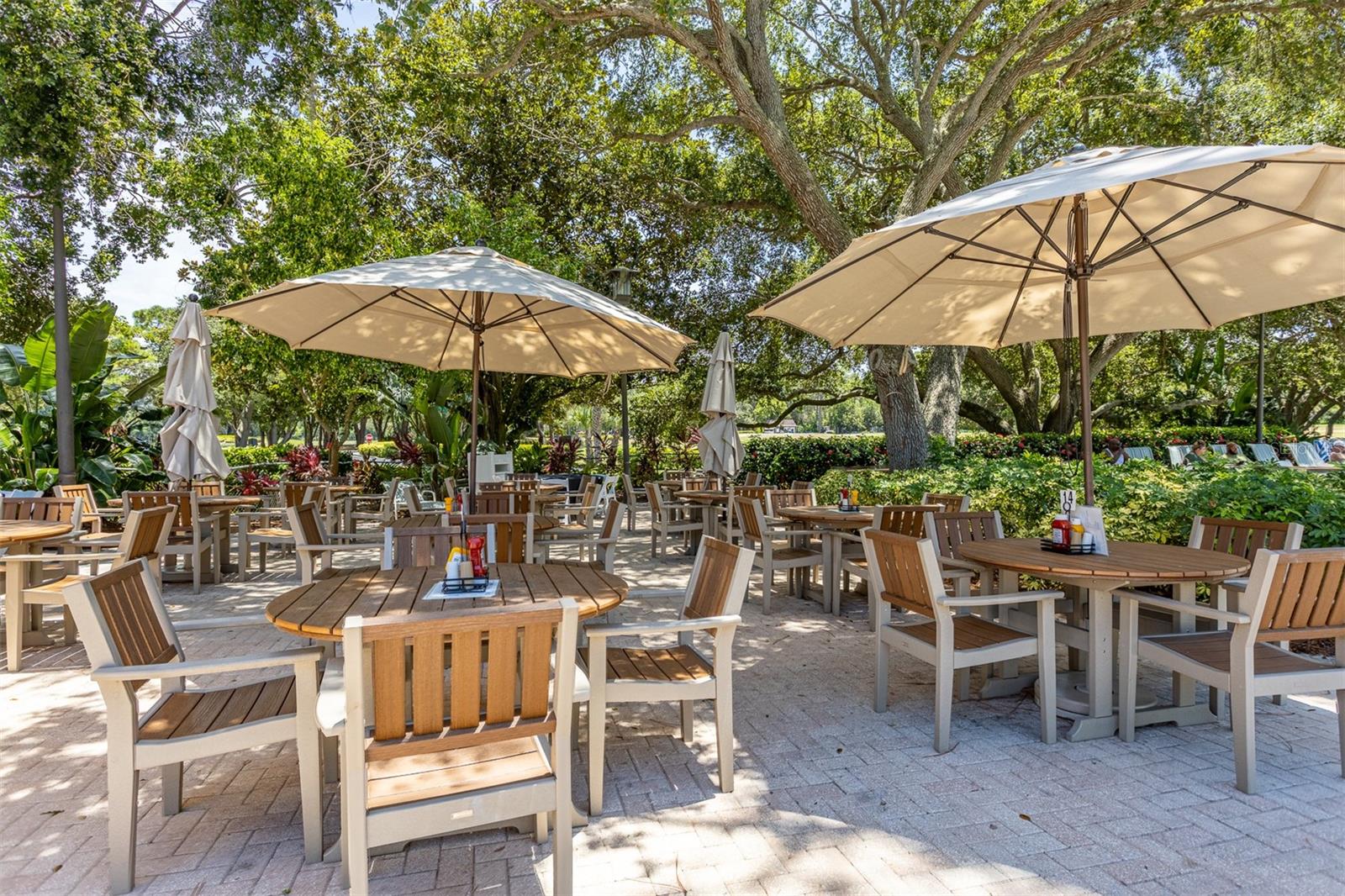 Palm Harbor, Florida, 34683, United States, 4 Bedrooms Bedrooms, ,3 BathroomsBathrooms,Residential,Active,1905355