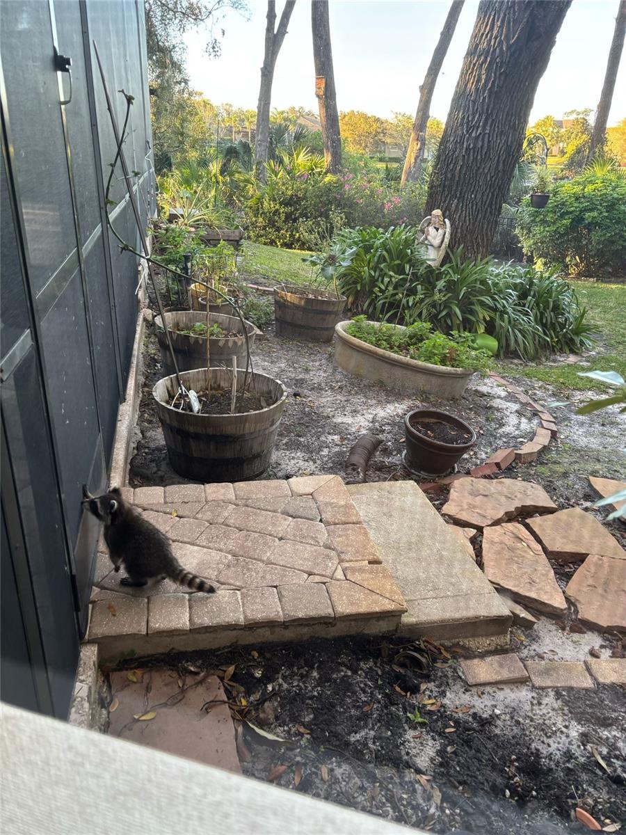 Sanford, Florida, 32771, United States, 5 Bedrooms Bedrooms, ,5 BathroomsBathrooms,Residential,Active,2017886