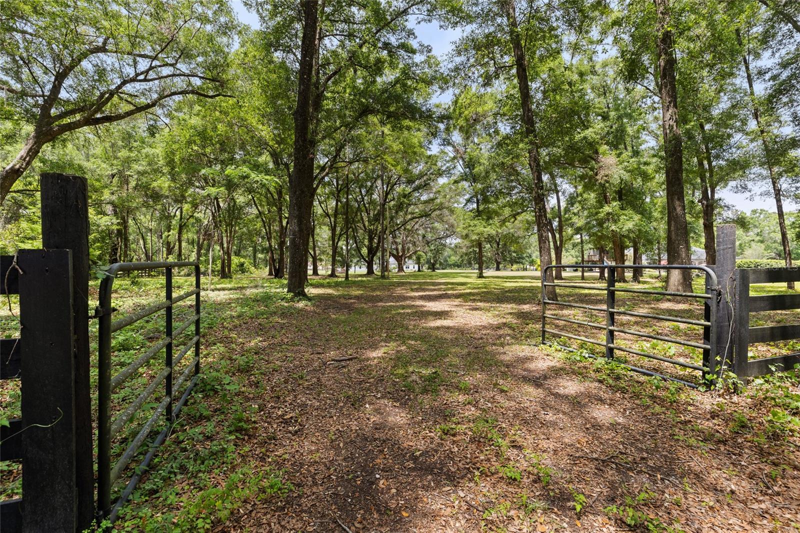 Newberry, Florida, 32669, United States, 4 Bedrooms Bedrooms, ,3 BathroomsBathrooms,Residential,Active,1810517