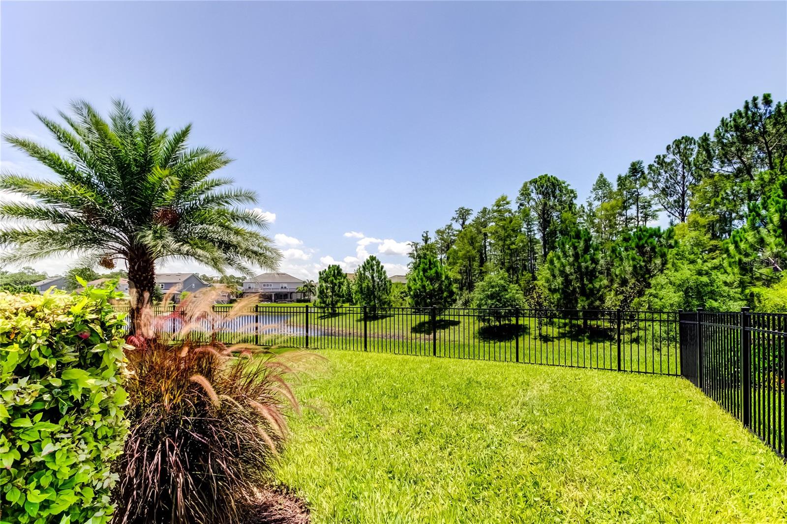 Odessa, Florida, 33556, United States, 4 Bedrooms Bedrooms, ,3 BathroomsBathrooms,Residential,Active,1877812