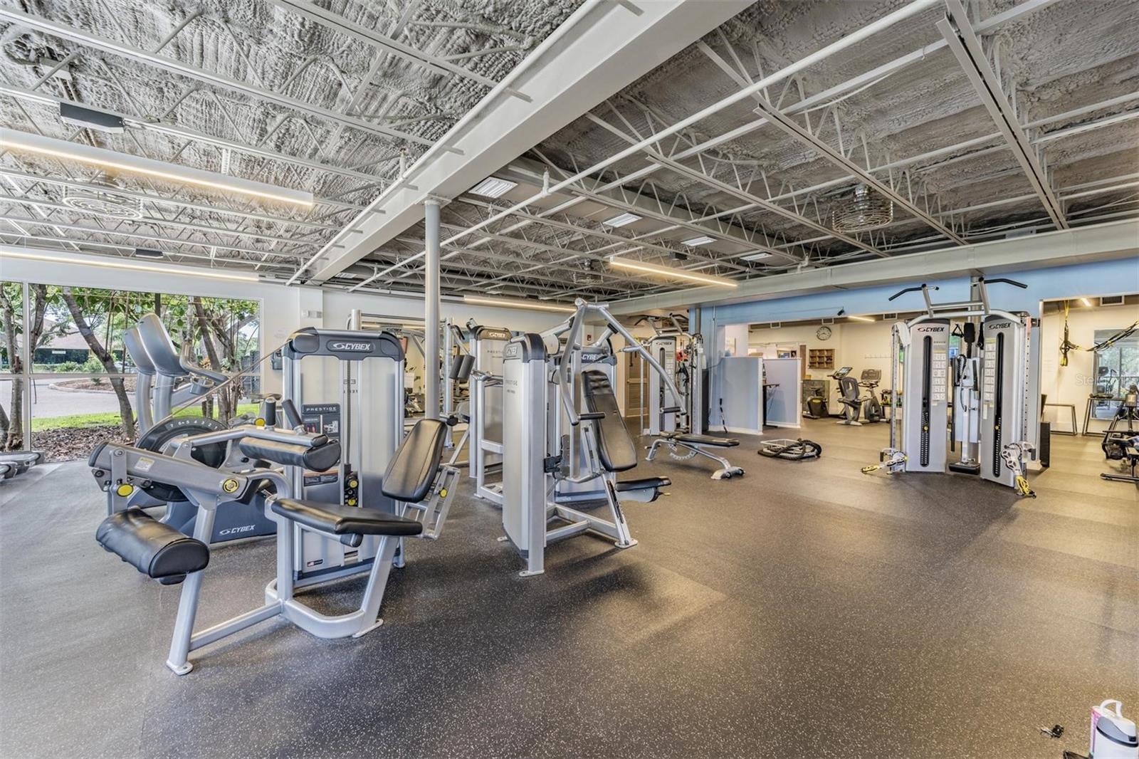 Oldsmar, Florida, 34677, United States, 5 Bedrooms Bedrooms, ,4 BathroomsBathrooms,Residential,Active,1946542