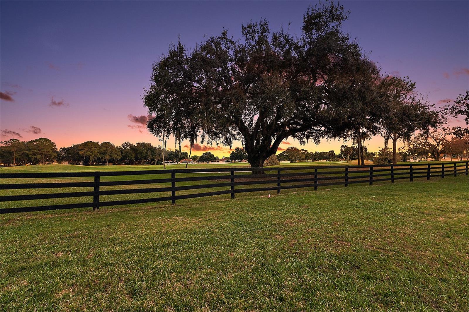 The Villages, Florida, 32159, United States, 3 Bedrooms Bedrooms, ,2 BathroomsBathrooms,Residential,Active,2006855