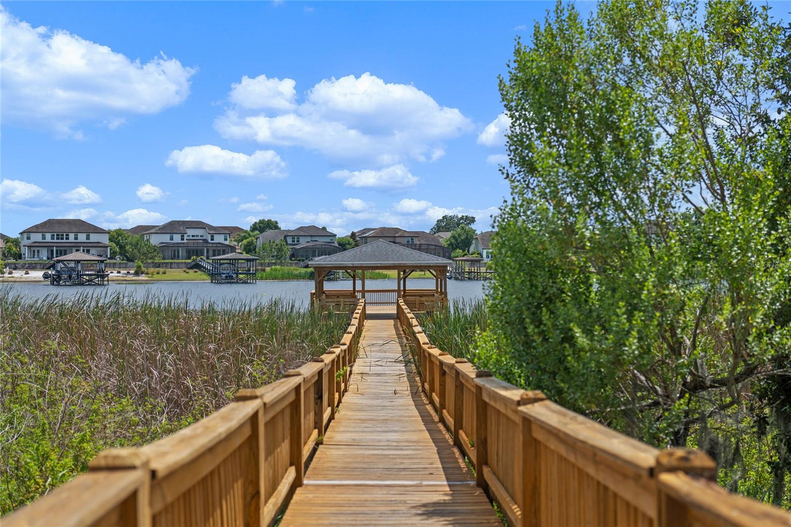 Winter Garden, Florida, 34787, United States, 5 Bedrooms Bedrooms, ,5 BathroomsBathrooms,Residential,Active,1742084