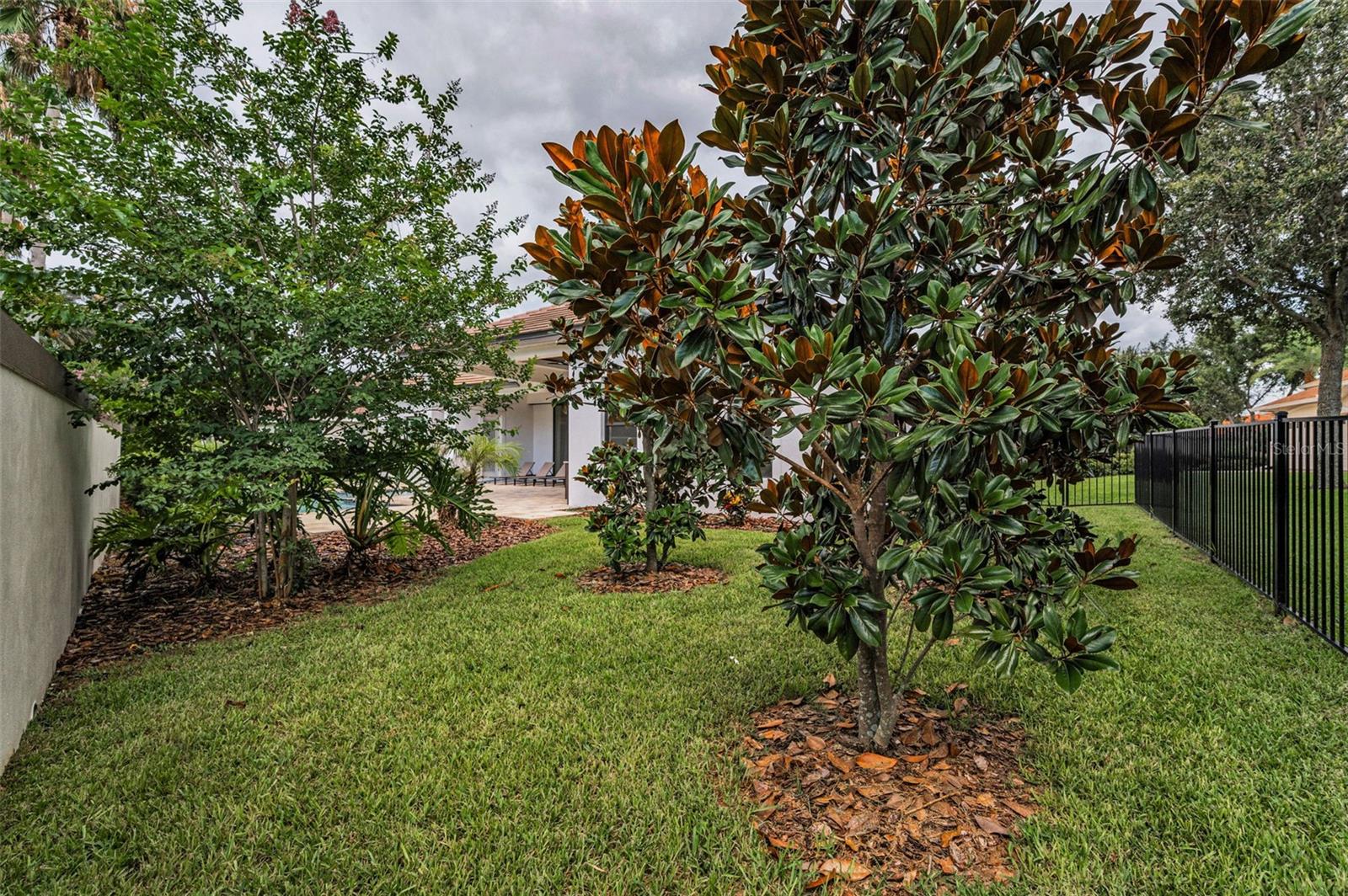 Trinity, Florida, 34655, United States, ,4 BathroomsBathrooms,Residential,Active,1868123