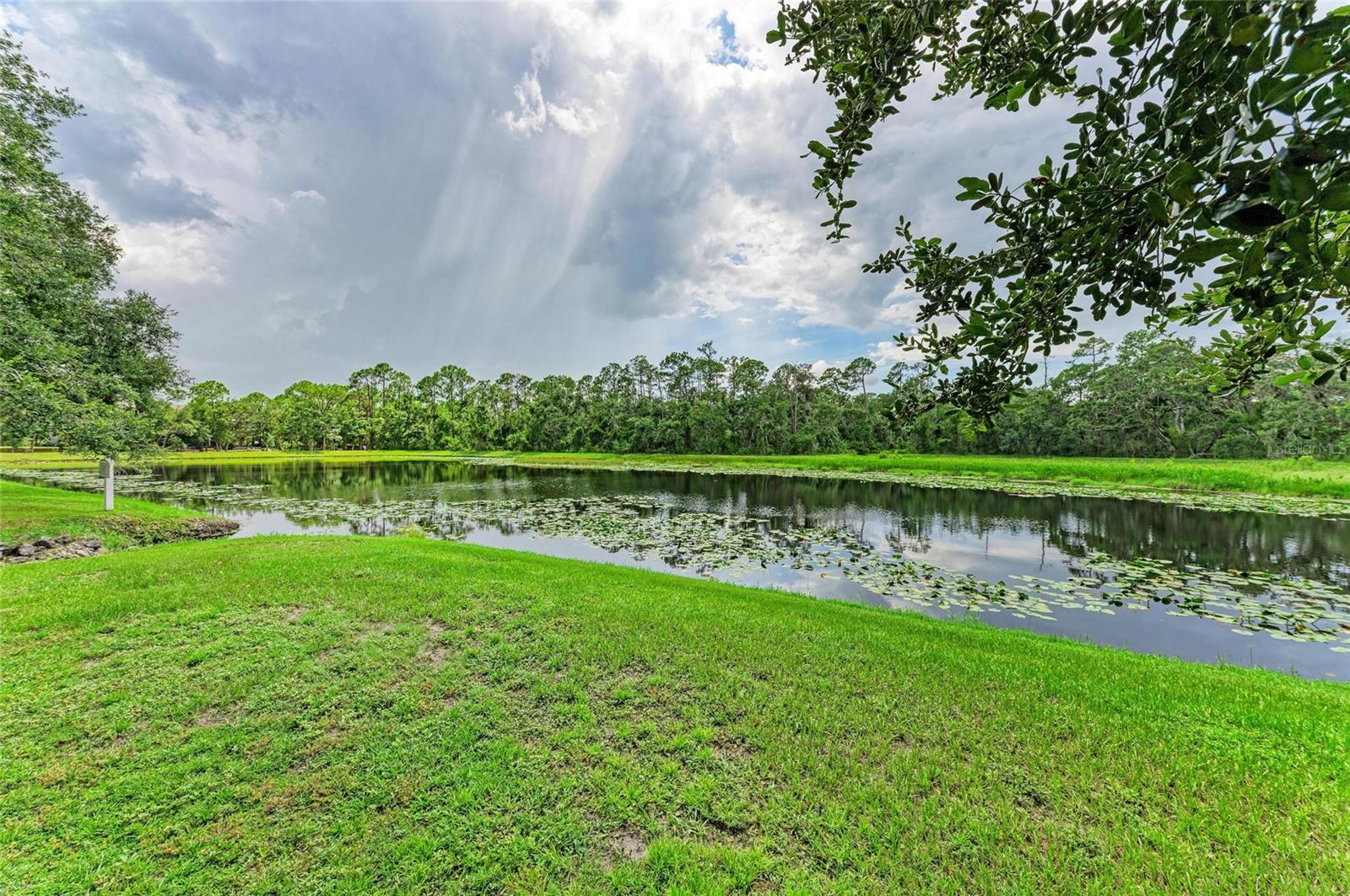 Bradenton, Florida, 34211, United States, 4 Bedrooms Bedrooms, ,3 BathroomsBathrooms,Residential,Active,1908158