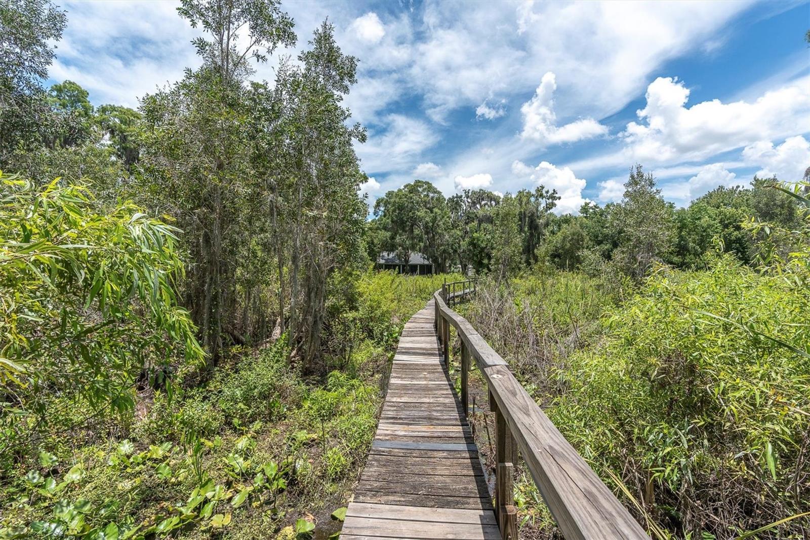 Odessa, Florida, 33556, United States, 4 Bedrooms Bedrooms, ,3 BathroomsBathrooms,Residential,Active,1871641