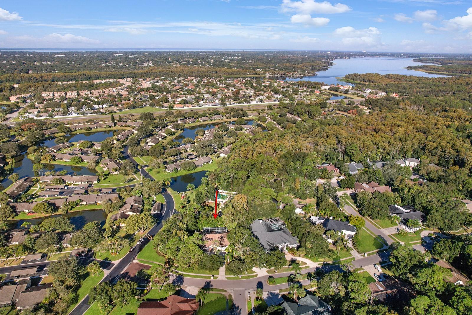 Oldsmar, Florida, 34677, United States, 5 Bedrooms Bedrooms, ,4 BathroomsBathrooms,Residential,Active,2009416