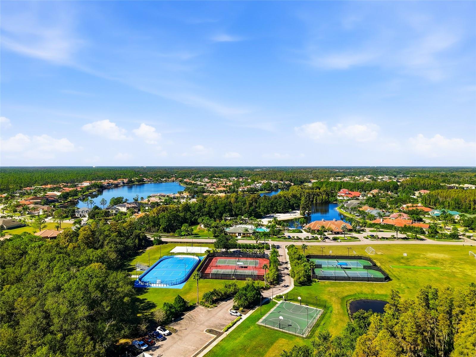 Tampa, Florida, 33647, United States, 5 Bedrooms Bedrooms, ,5 BathroomsBathrooms,Residential,Active,1990671