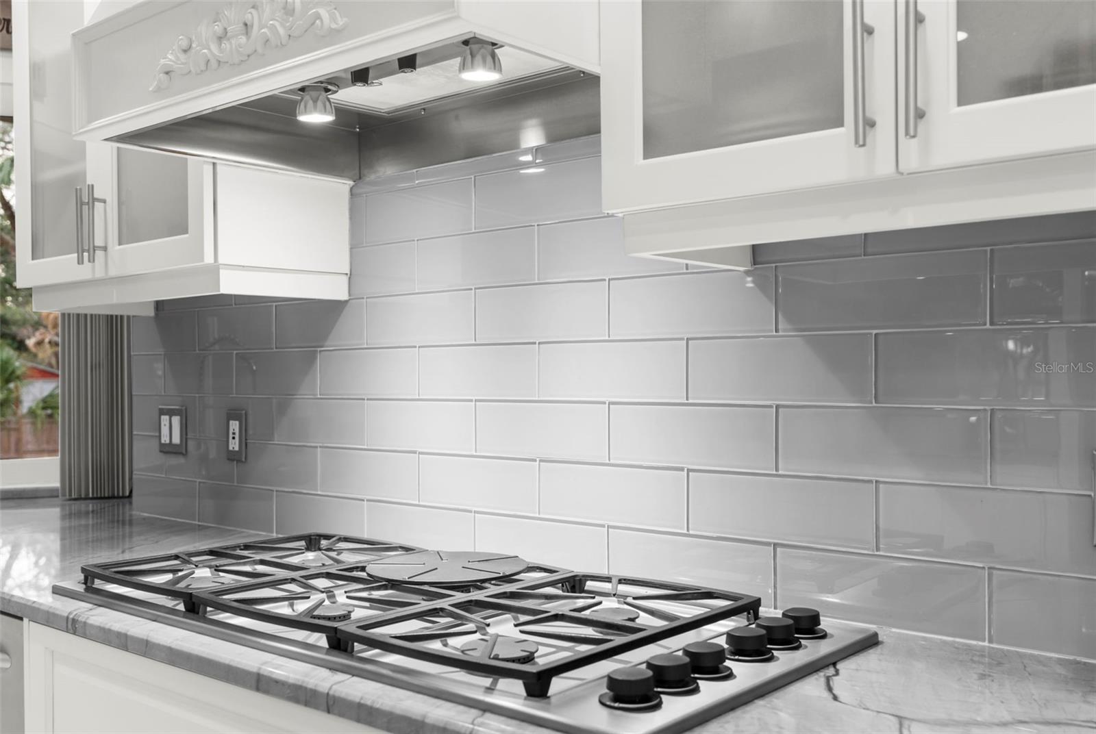 Tarpon Springs, Florida, 34689, United States, 4 Bedrooms Bedrooms, ,3 BathroomsBathrooms,Residential,Active,1900413