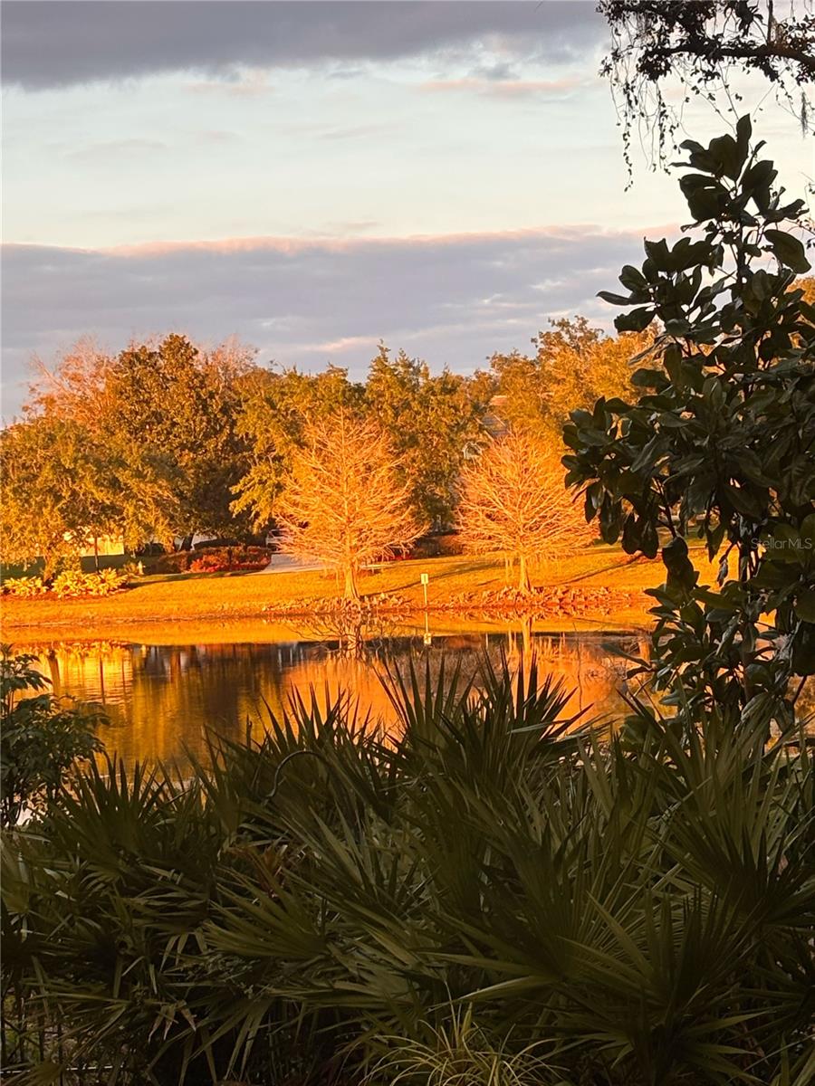 Sanford, Florida, 32771, United States, 5 Bedrooms Bedrooms, ,5 BathroomsBathrooms,Residential,Active,2017886