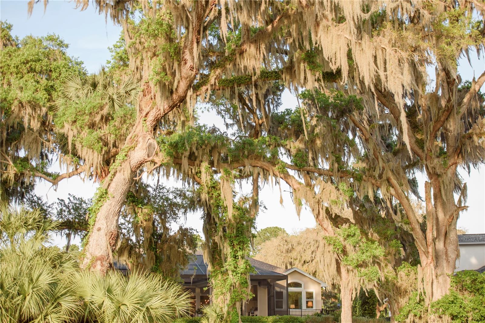 Gainesville, Florida, 32608, United States, 4 Bedrooms Bedrooms, ,3 BathroomsBathrooms,Residential,Active,1989761