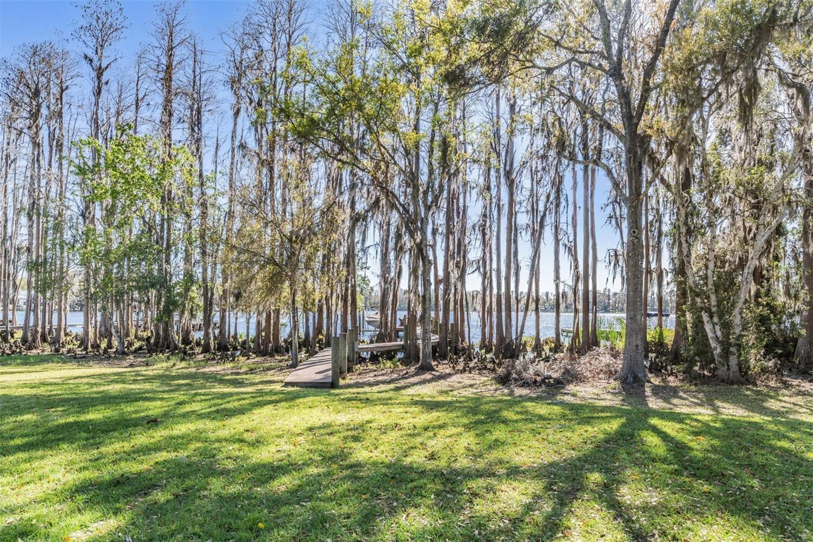 Odessa, Florida, 33556, United States, 5 Bedrooms Bedrooms, ,4 BathroomsBathrooms,Residential,Active,1797950