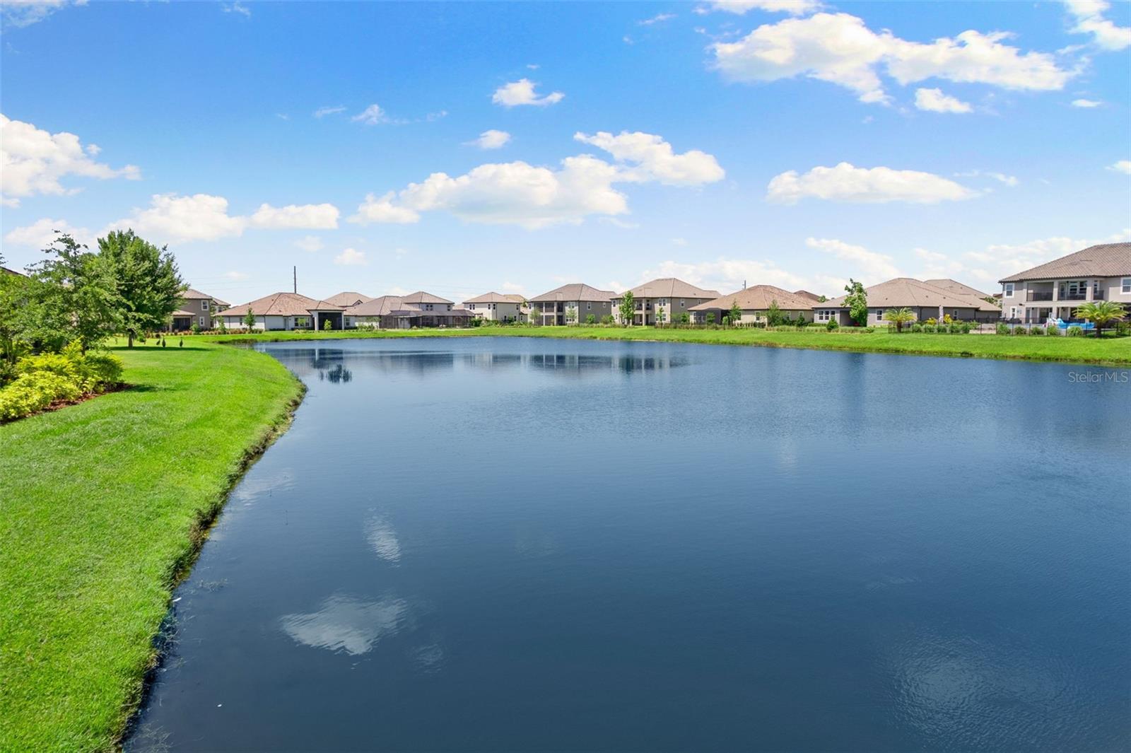 Wesley Chapel, Florida, 33545, United States, 7 Bedrooms Bedrooms, ,6 BathroomsBathrooms,Residential,Active,1894568