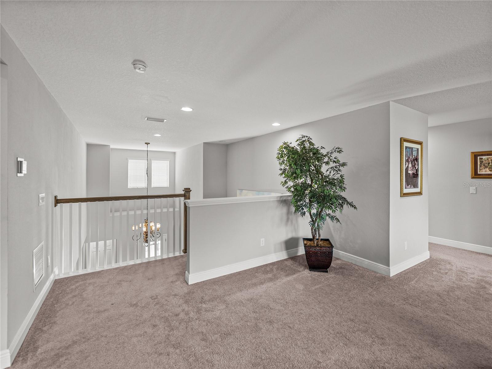 Odessa, Florida, 33556, United States, 5 Bedrooms Bedrooms, ,5 BathroomsBathrooms,Residential,Active,1909867