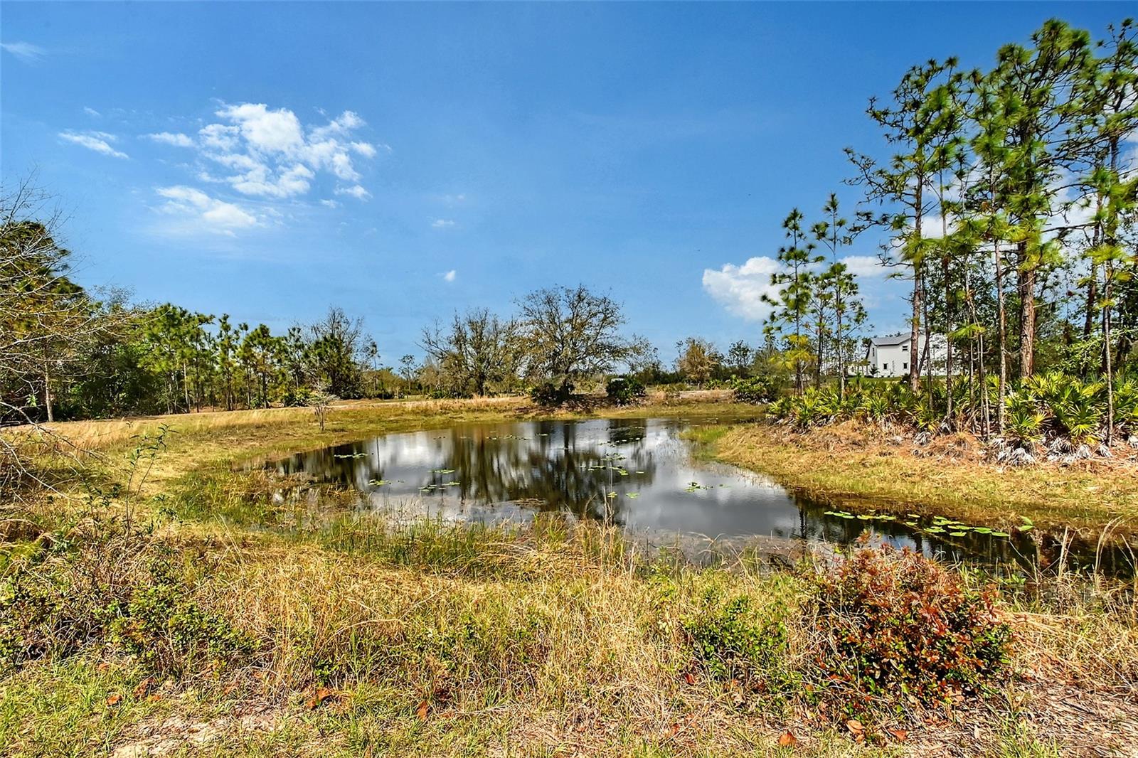 Bradenton, Florida, 34211, United States, 4 Bedrooms Bedrooms, ,3 BathroomsBathrooms,Residential,Active,1730719