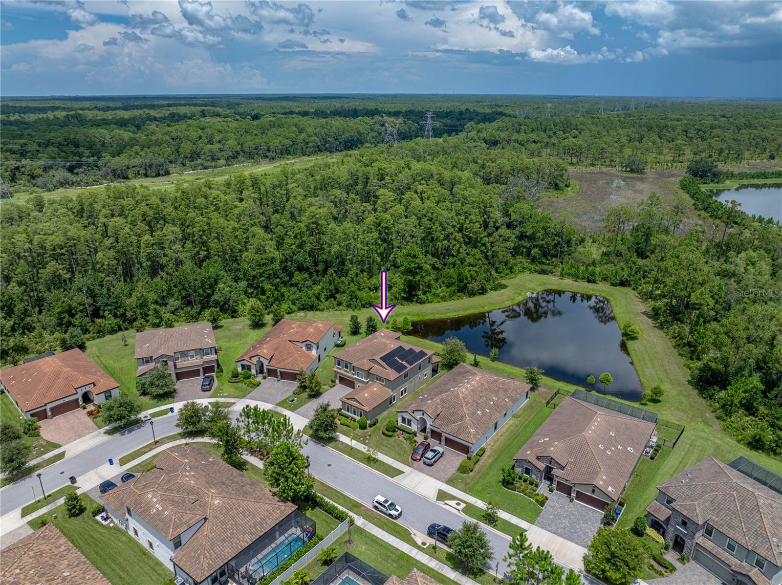 Odessa, Florida, 33556, United States, 5 Bedrooms Bedrooms, ,5 BathroomsBathrooms,Residential,Active,1909867
