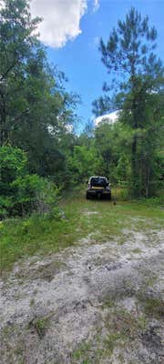 LOT 59 CRITTER CROSSING, PIERSON, FL 32180, photo 4 of 11