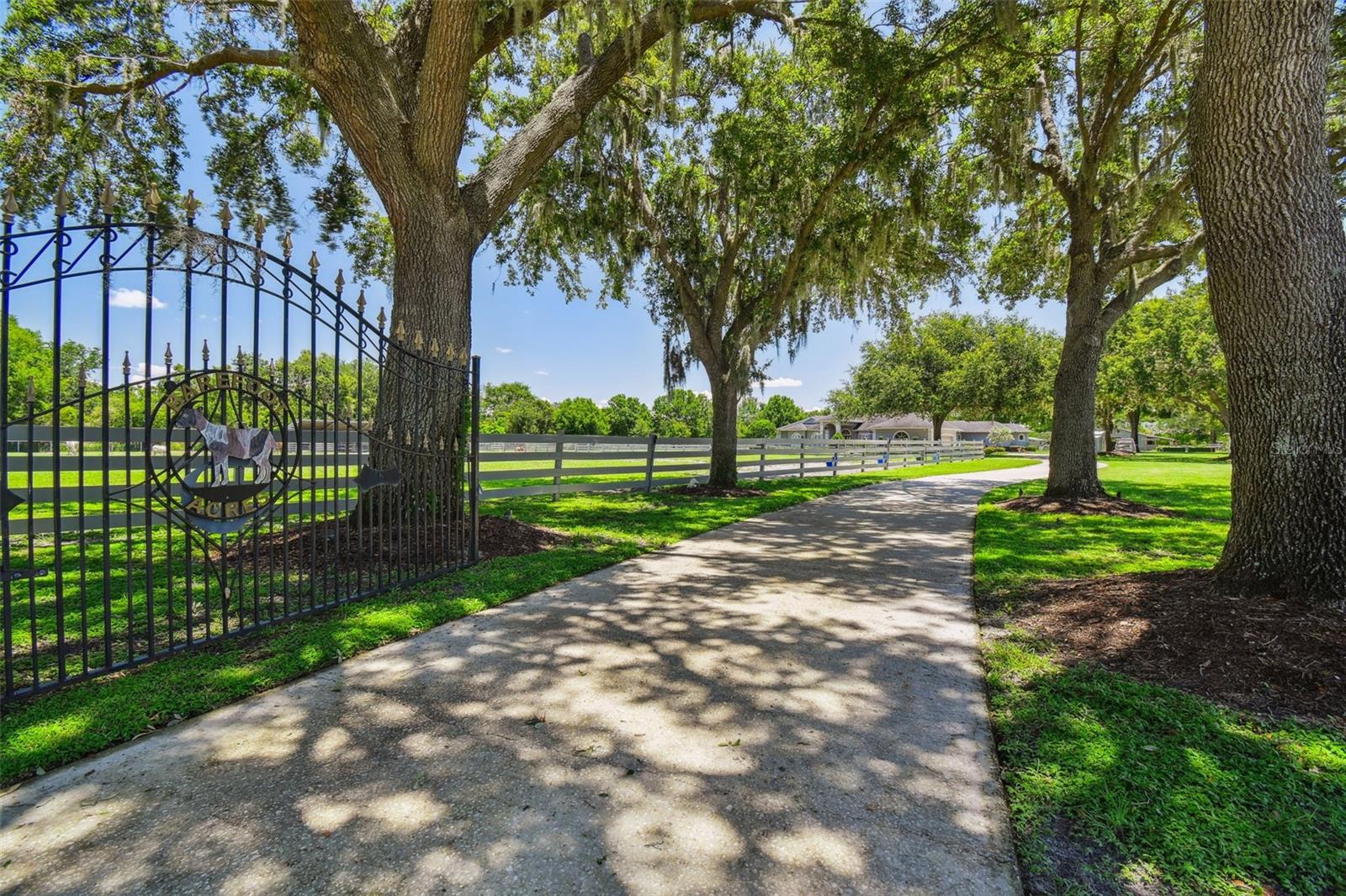 Odessa, Florida, 33556, United States, 5 Bedrooms Bedrooms, ,4 BathroomsBathrooms,Residential,Active,1884999