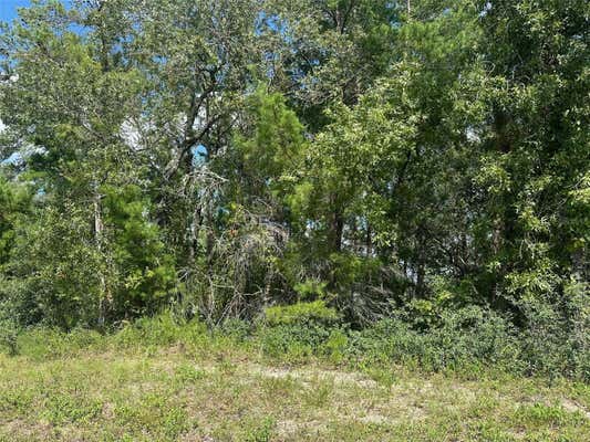 TBD SW 46TH CIRCLE, OCALA, FL 34473 - Image 1