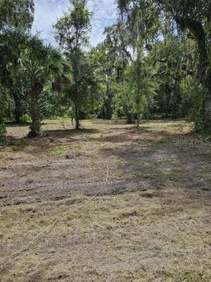 152 TALL OAKS TRL, ZOLFO SPRINGS, FL 33890 - Image 1